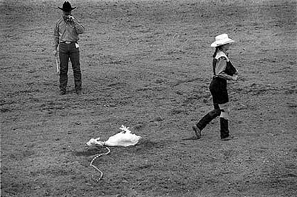 Goat tied